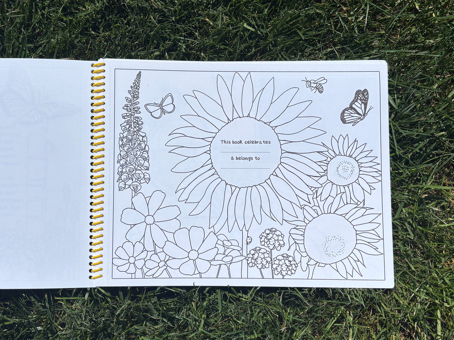 Life in Color - A Personalized Coloring Book for Processing Loss and Celebrating Life